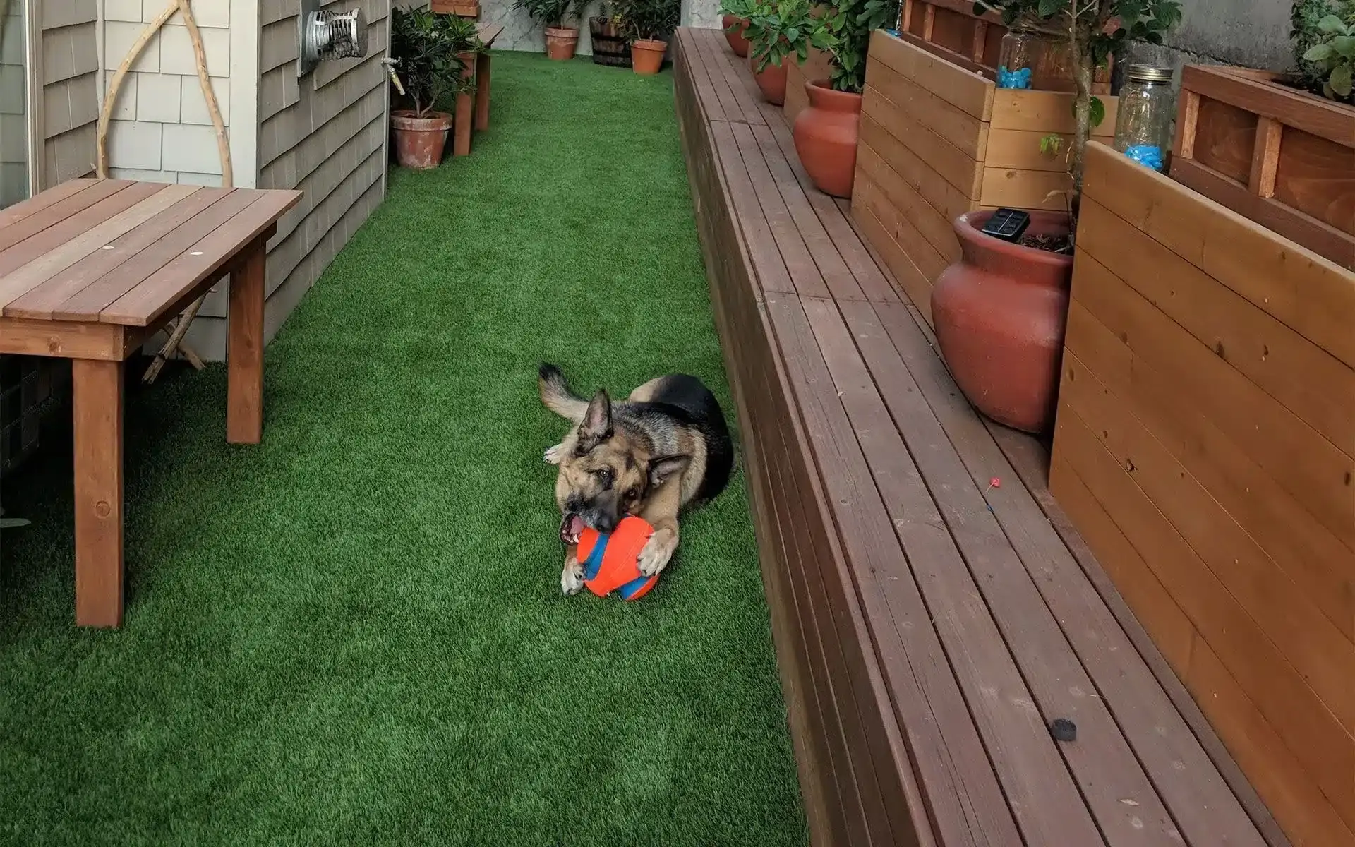 Pet Friendly Artificial Turf Installation in Stafford, TX